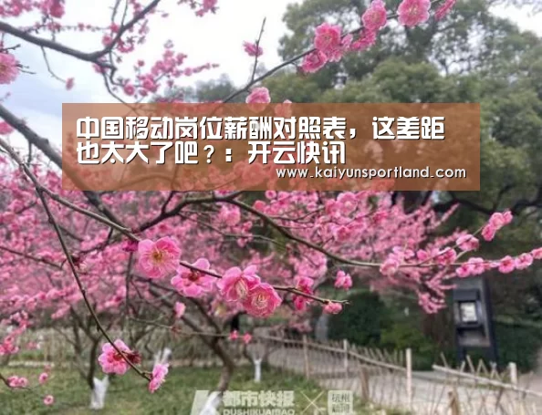 开云平台