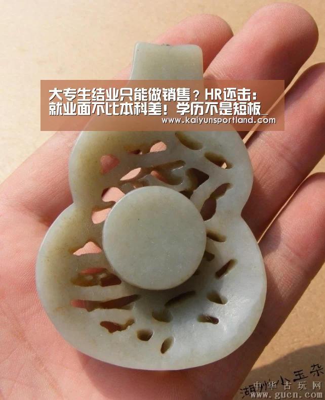 大专生结业只能做销售?HR还击:就业面不比本科差!学历不是短板_开云体育(图1) 开云直播